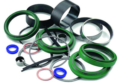 Seals-main